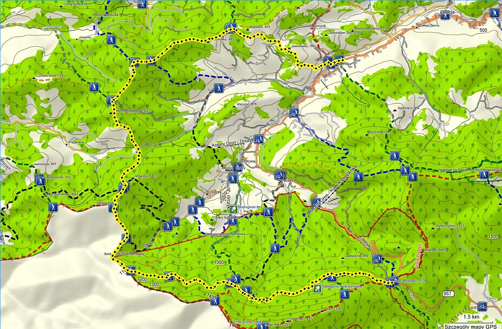 2012_08_20 Krowiarki - Jalowiec.jpg